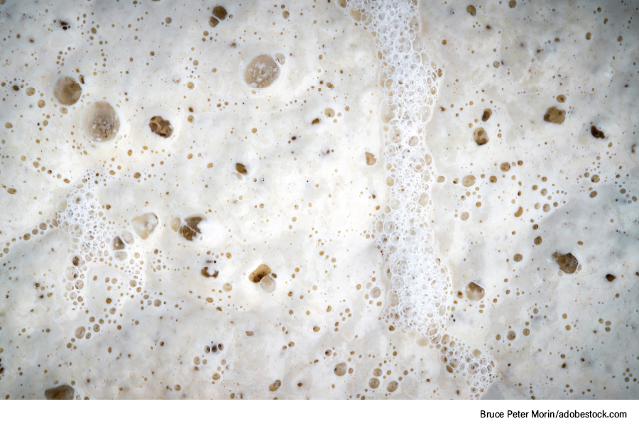 fermenting pizza dough, PH and dough