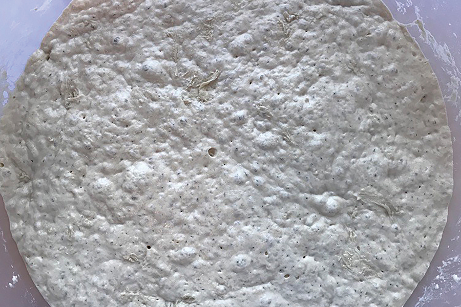 dough fermentation, bulk dough fermentation